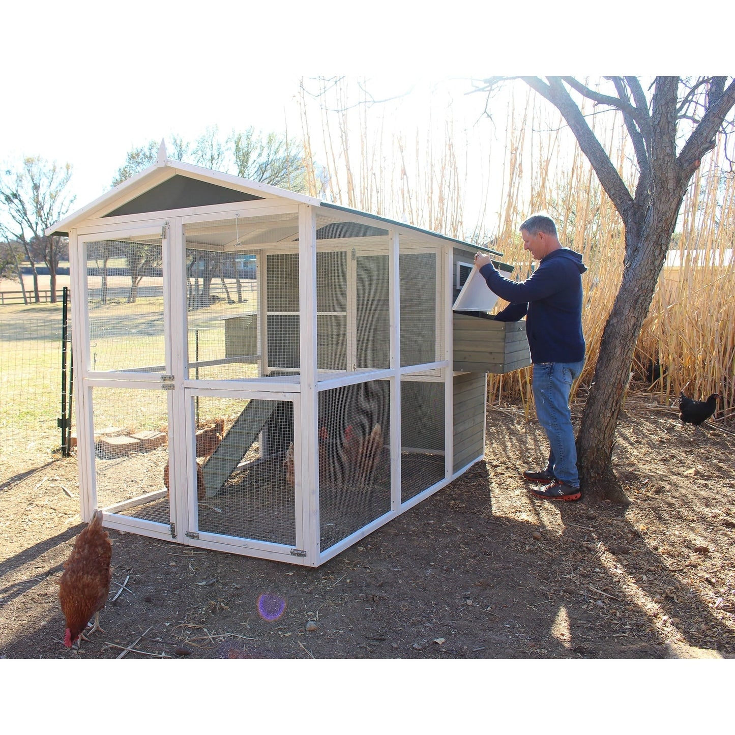Zylina Big Green Chicken Coop